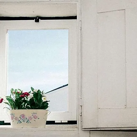 Hostel Boutique Taghostel