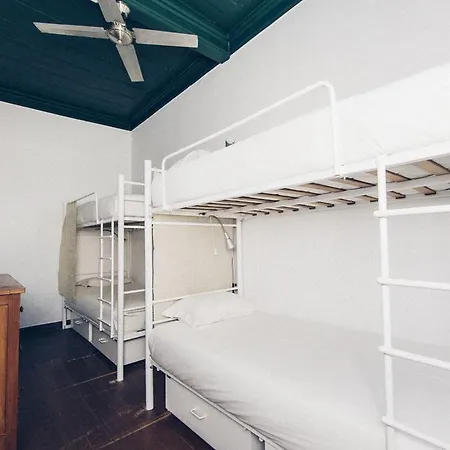 부티크 태그호스텔