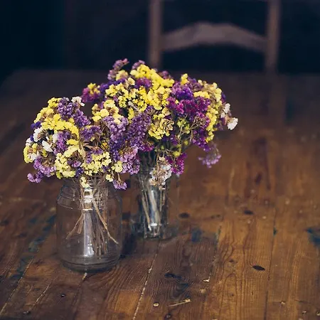 达胡特精品旅舍 旅馆 *